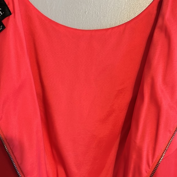 STUNNING Adrianna PAPELI Dress Size 10 - Picture 14 of 14